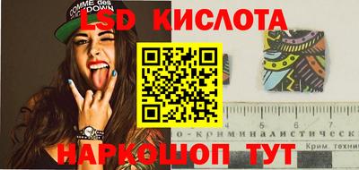 СК Можга