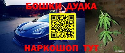 спиды Моздок