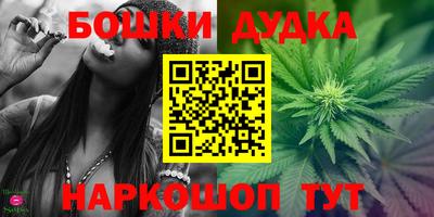 спиды Моздок