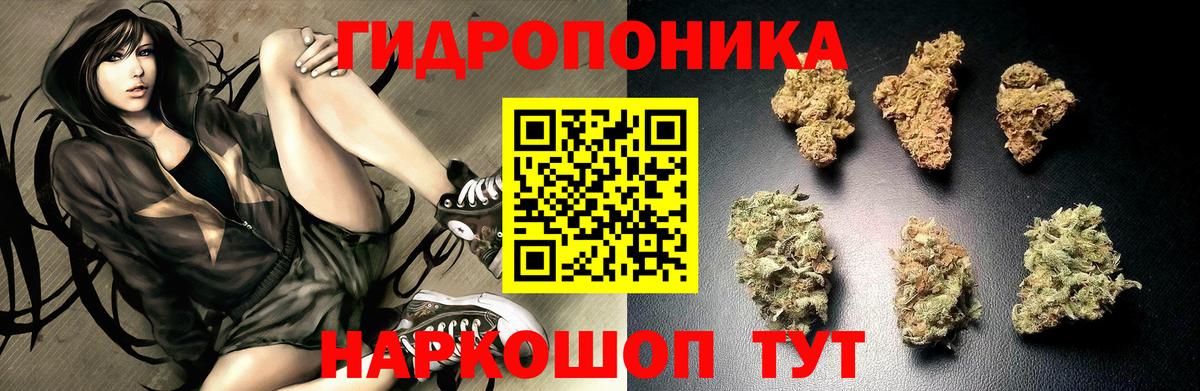 Бошки марихуана MAZAR Якутск